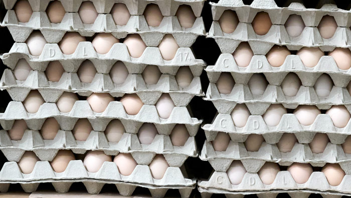 Gestapelte Eierpaletten